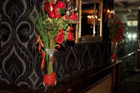 Angels Lap Dancing (Dublin, Irlande)