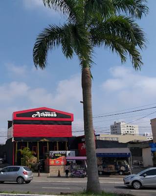 Athenas Night Club (São Paulo, Brésil)