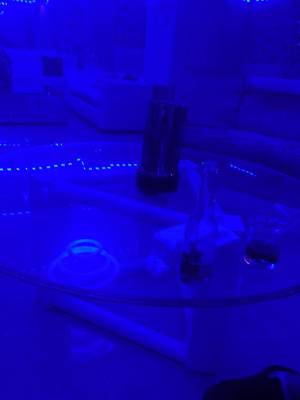 Blue Light (Saint Domingue, République dominicaine)