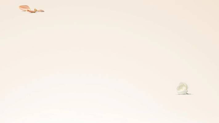 Body Spa Services (Bombay, Inde)