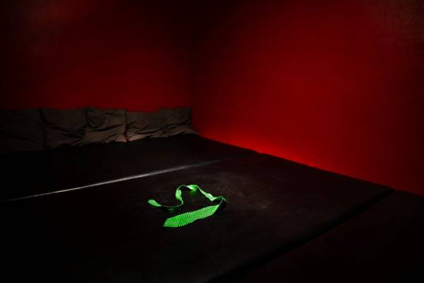 Club Lublaåˆská (Prague, Tchéquie)