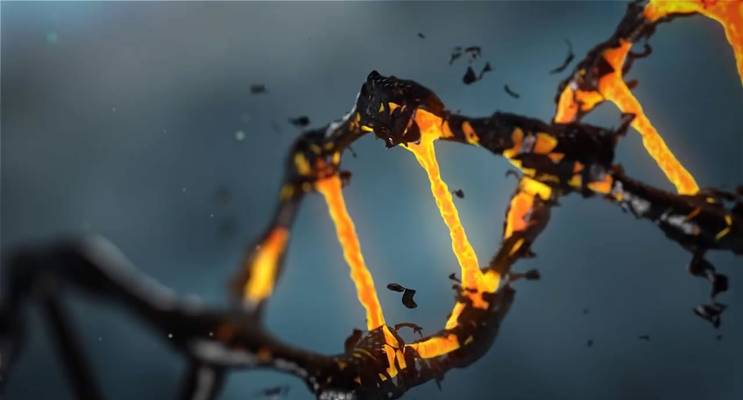 Dolls (Kyiv, Ukraine)