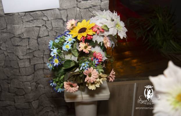 Dominadora Sp, Dominatrix Sp (São Paulo, Brésil)