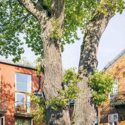 End Night Club (Stockholm, Suède)