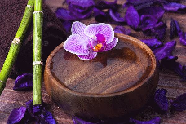 Erotické Masáže Matahari Salon (Prague, Tchéquie)