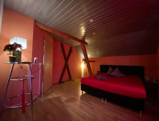 Happy Girls (Zurich, Suisse)