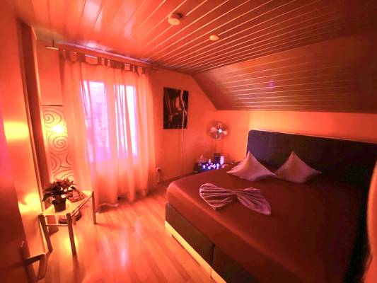 Happy Girls (Zurich, Suisse)