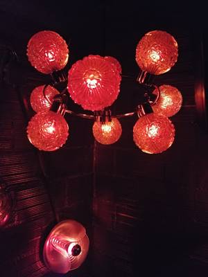 Kauz (Zurich, Suisse)