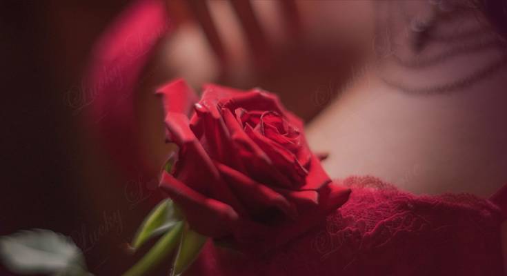 Luckymassage (Bucarest, Roumanie)