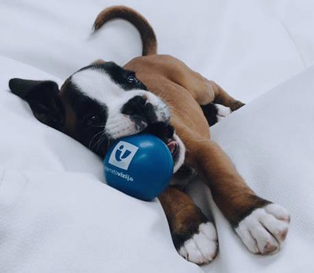 Mazzor Night Club (Vilnius, Lituanie)