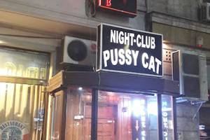 Night Club Pussy Cat