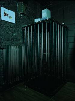 Playgirls (Berne, Suisse)