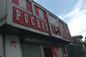 Puchos