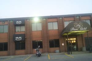 Pure Gold Gentlemen's Club