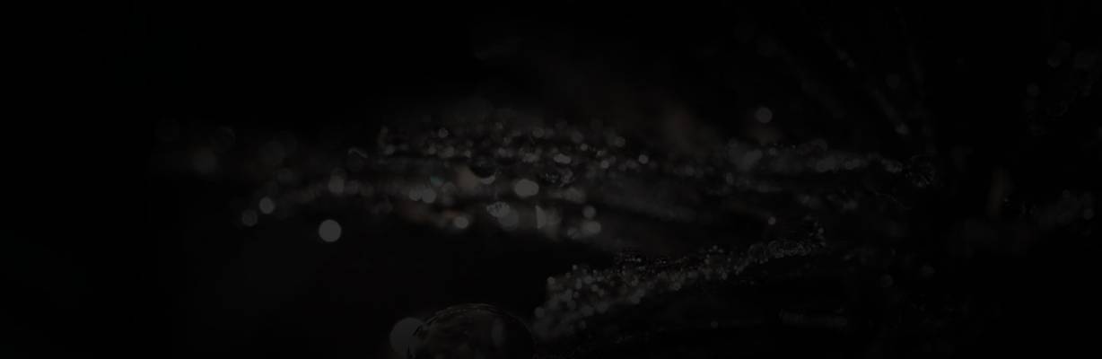 Puschkin Lounge Bar (Zurich, Suisse)