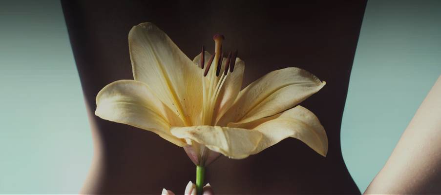 Royal Tantra Club Bratislava (Bratislava, Slovaquie)