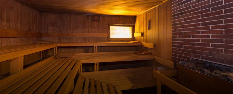 Sauna Horn (Berne, Suisse)