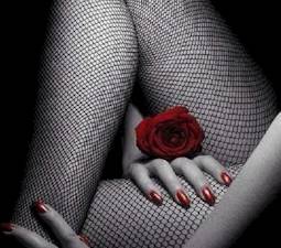 Secret Minds Adventures (La Haye, Pays-Bas)