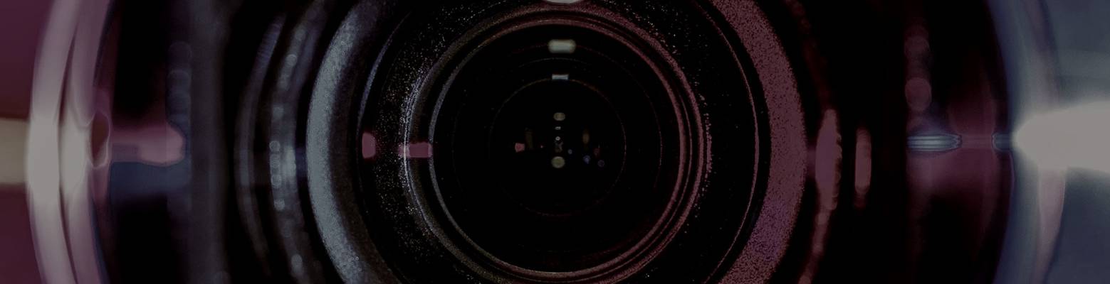 Swingeroase Zwiespalt (Berlin, Allemagne)