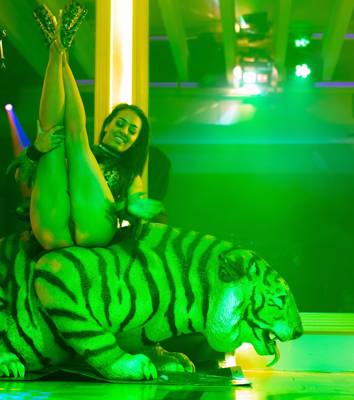 The Firm (Adélaïde, Australie)