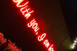 The Love Bar At Flamingo House