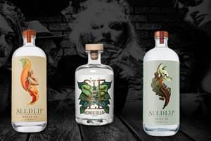 The Nightclub - Trier L Bordell