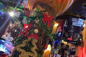 The Vibe Bar Wild One