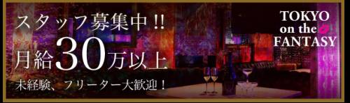 Tokyo On The Fantasy (Tokyo, Japon)