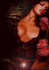 Wunschzimmer Berlin (Berlin, Allemagne)